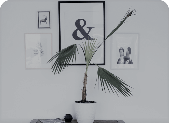 core-value-banner